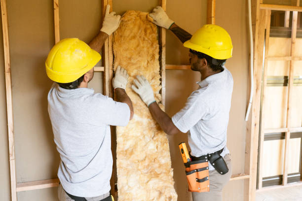 Types of Insulation We Offer in Bloomingdale, FL