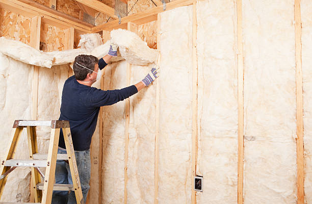 Best Attic Insulation Installation  in Bloomingdale, FL